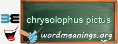 WordMeaning blackboard for chrysolophus pictus